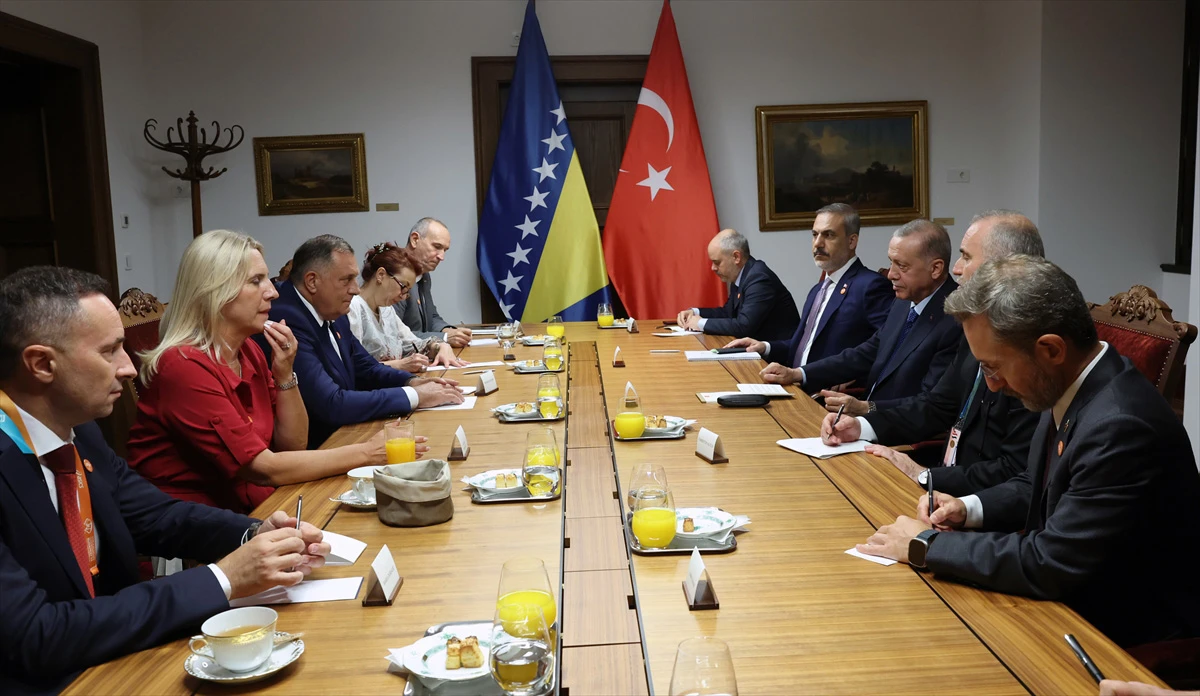Erdogan u Budimpešti primio izaslanstvo BiH
