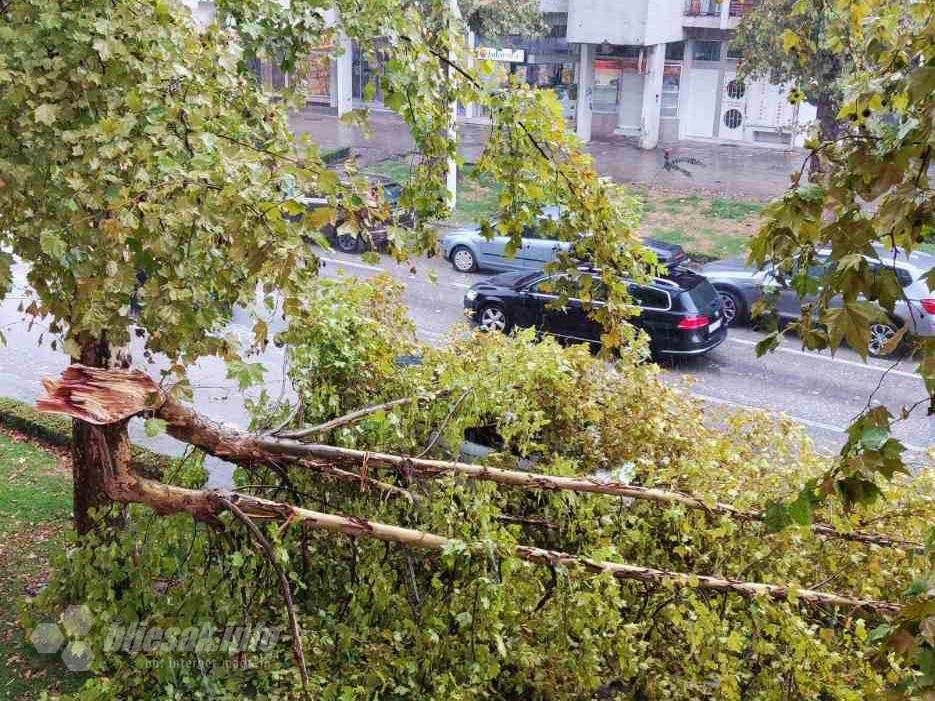 Nevrijeme napravilo štetu u Čapljini - padale grane, oštećeni automobili