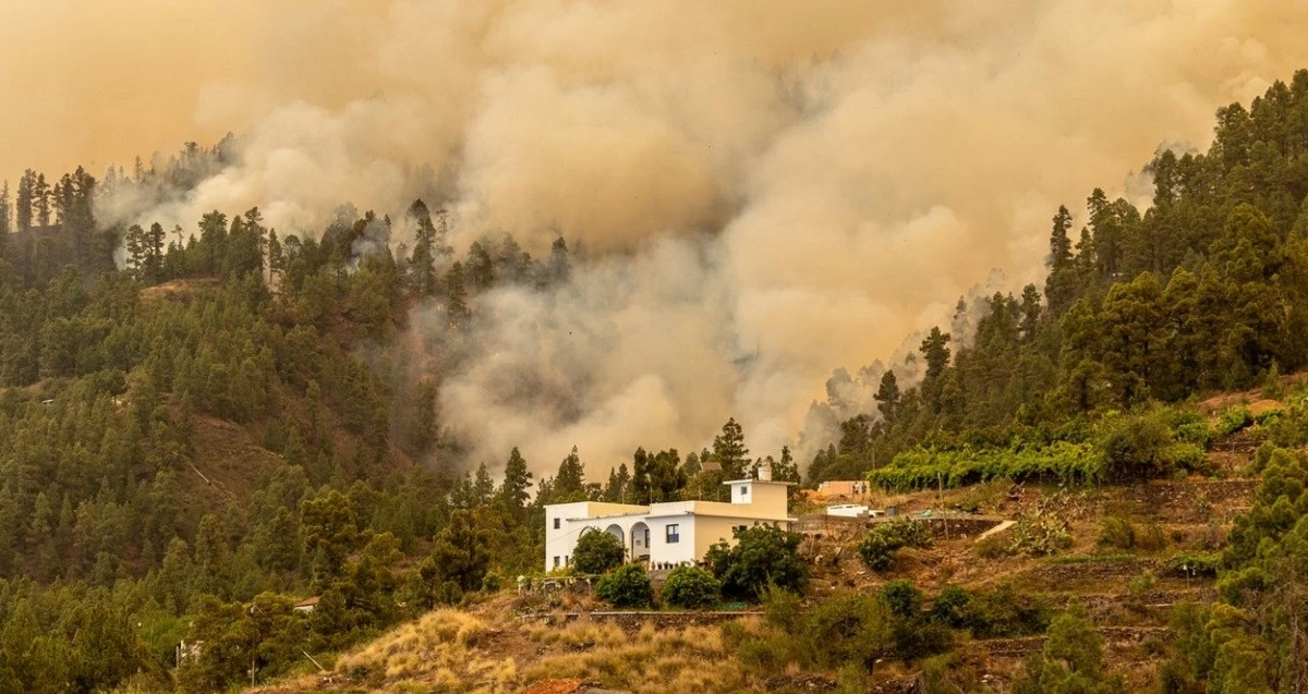 Požar na Tenerifama spalio 1,6 posto otoka