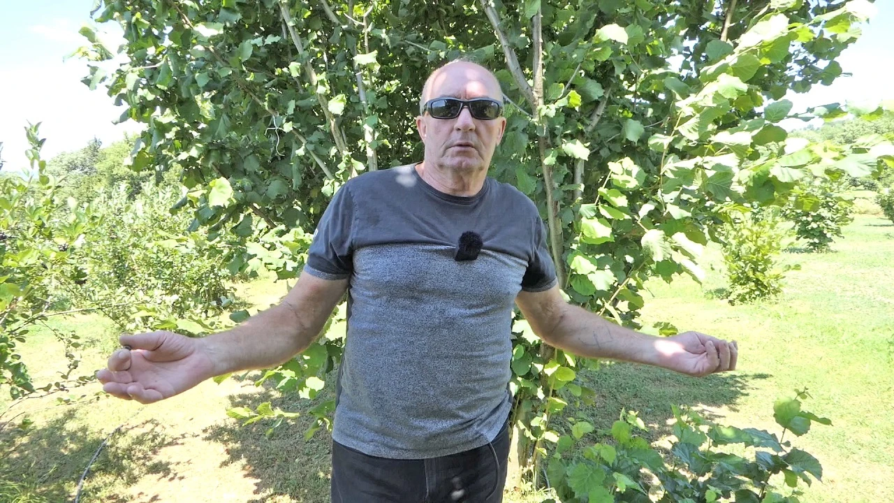 VIDEO | Najbolja para je u ovome, rađa k'o ludo bez ikakvog tereta