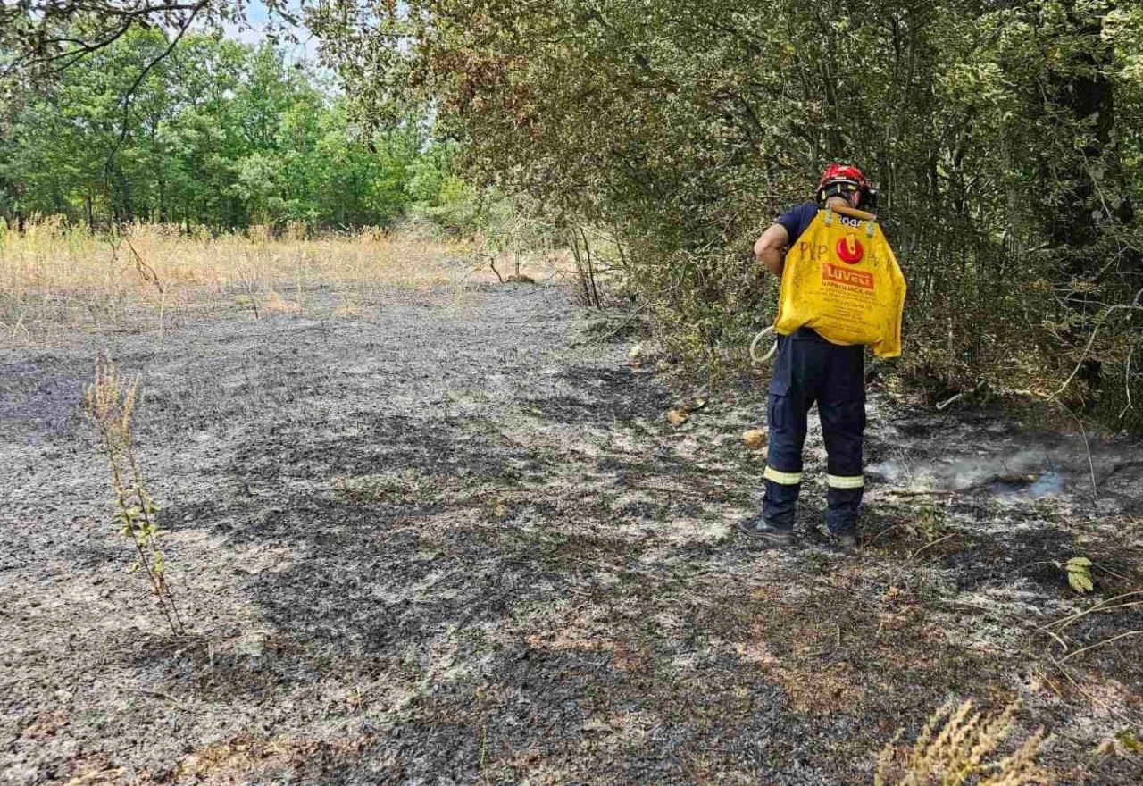 FOTO | VIDEO | Borba s vatrenom stihijom u Mostaru, Čapljini i Čitluku