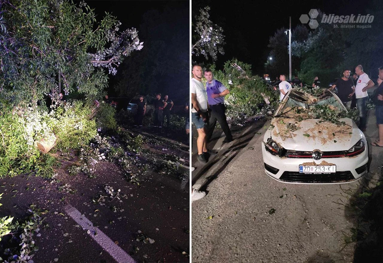 Šok u noći: Stablo palo na automobil