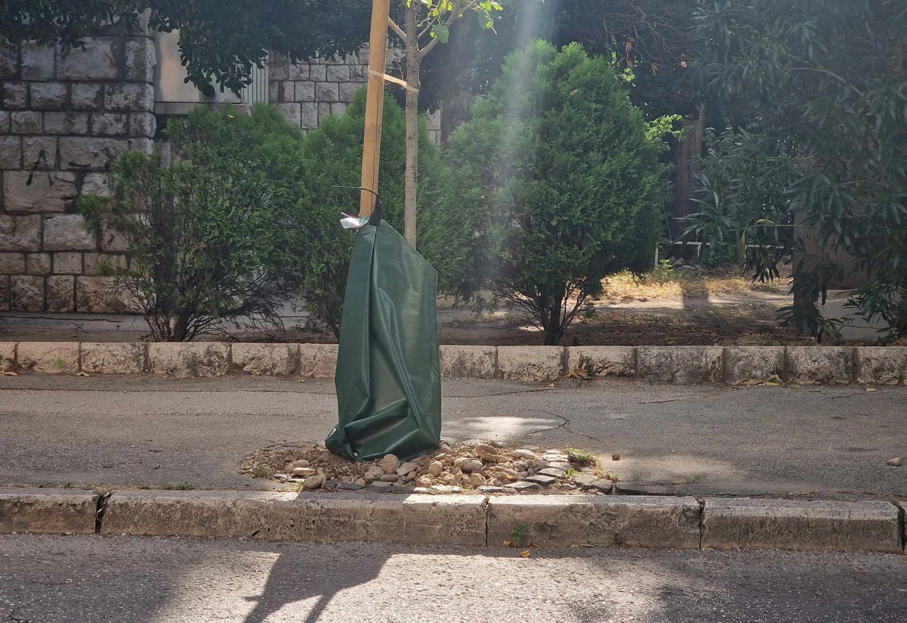 Vreće su prazne: Stabla čekaju vodu!