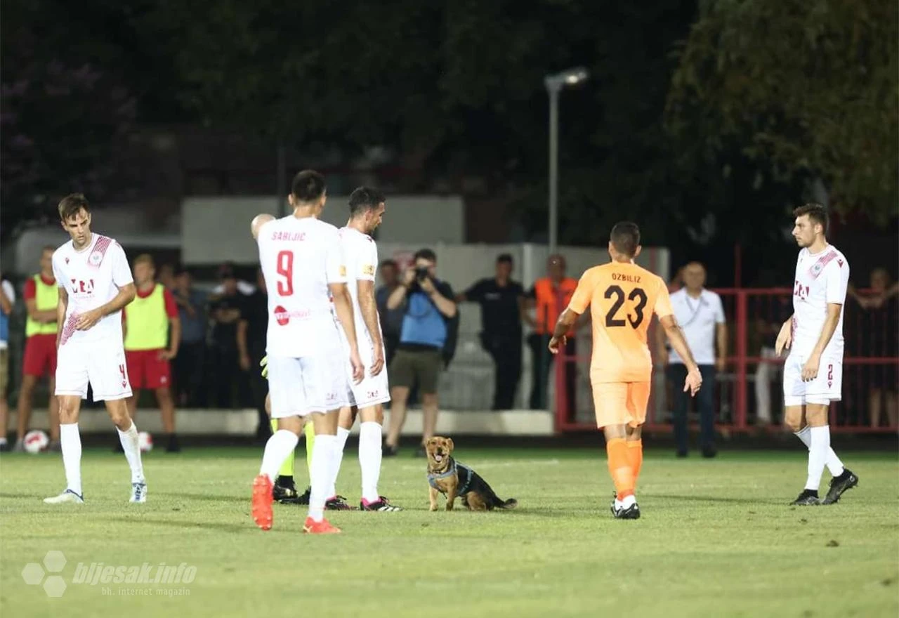 FOTO | Neobična situacija: Pas prekinuo utakmicu Zrinjski-Urartu