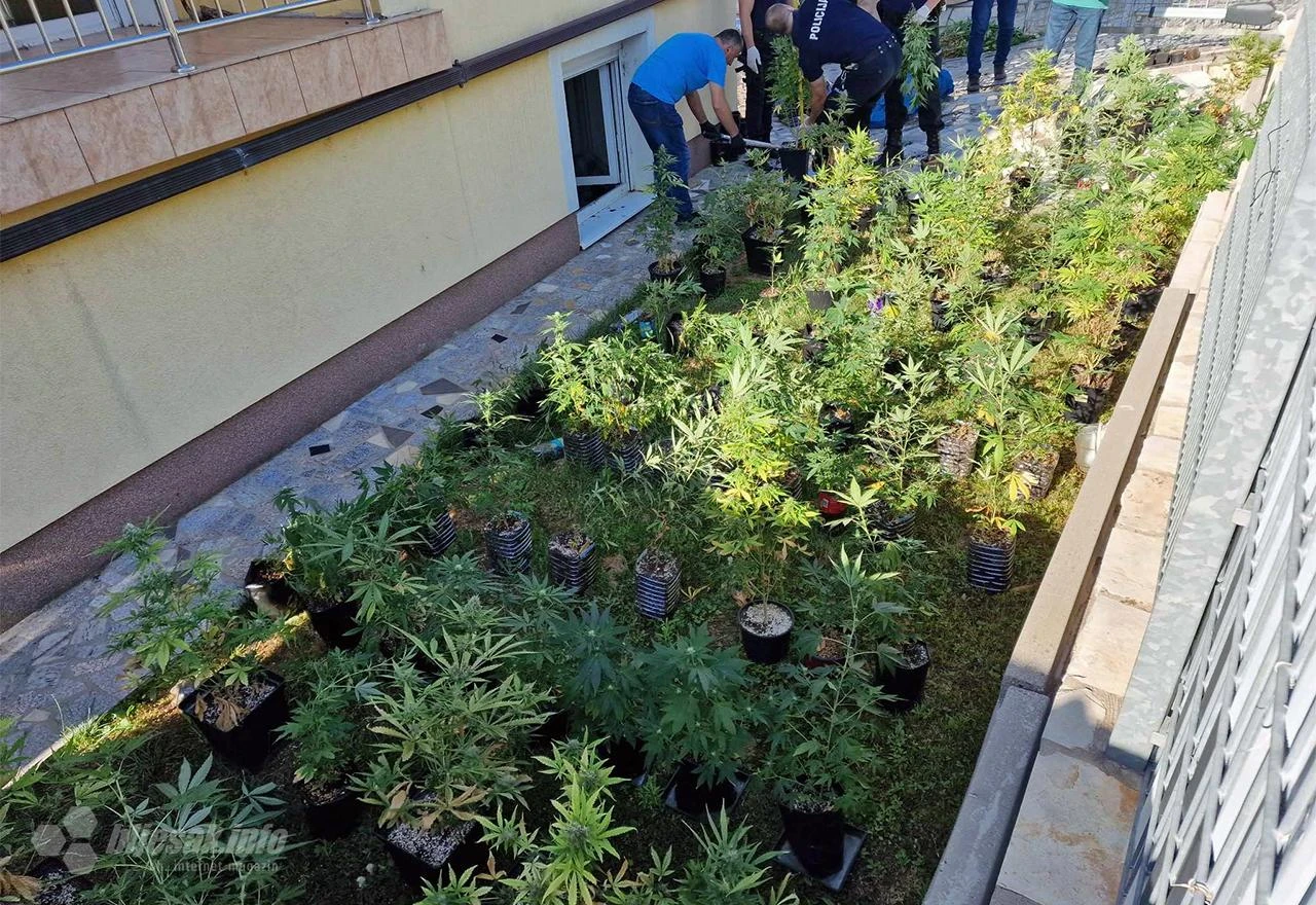 FOTO/VIDEO | Akcija u Raštanima: Policija u kući pronašla veću količinu trave