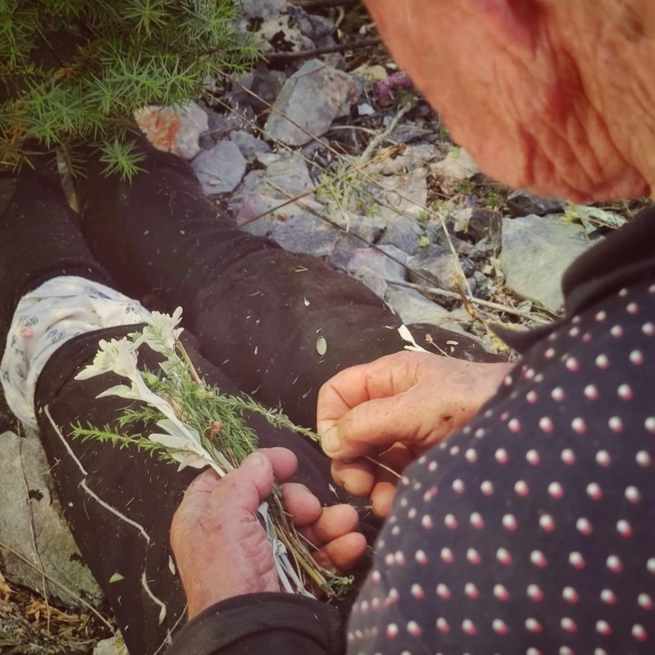 Fotografija HGSS-a raznježila Hrvatsku