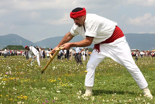 Na Kupresu počeli Dani kosidbe