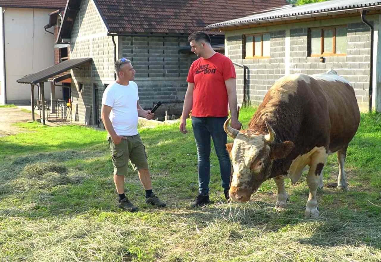 Jozun iz Busovače, čovjek koji pravi najposjećenije koride u BiH
