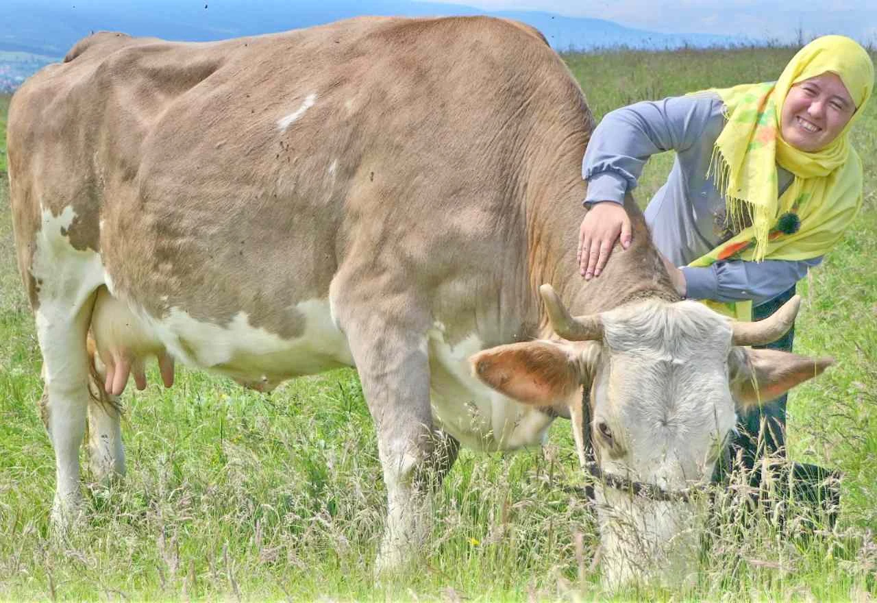 Kad donacija promijeni život: Priča o Vernesi i njezinoj miljenici 