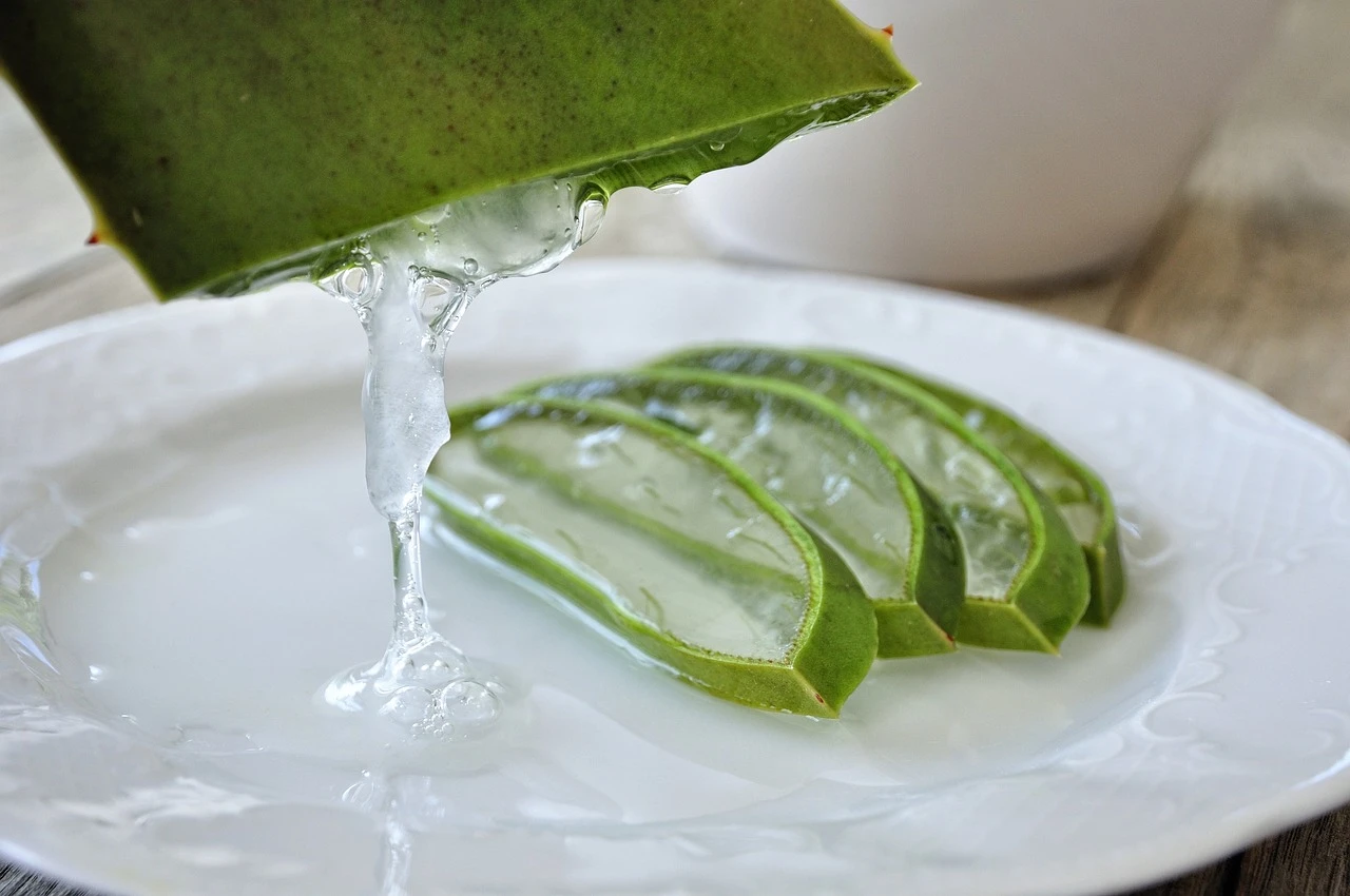 Aloe vera u 7 dana ini uda za vau kou