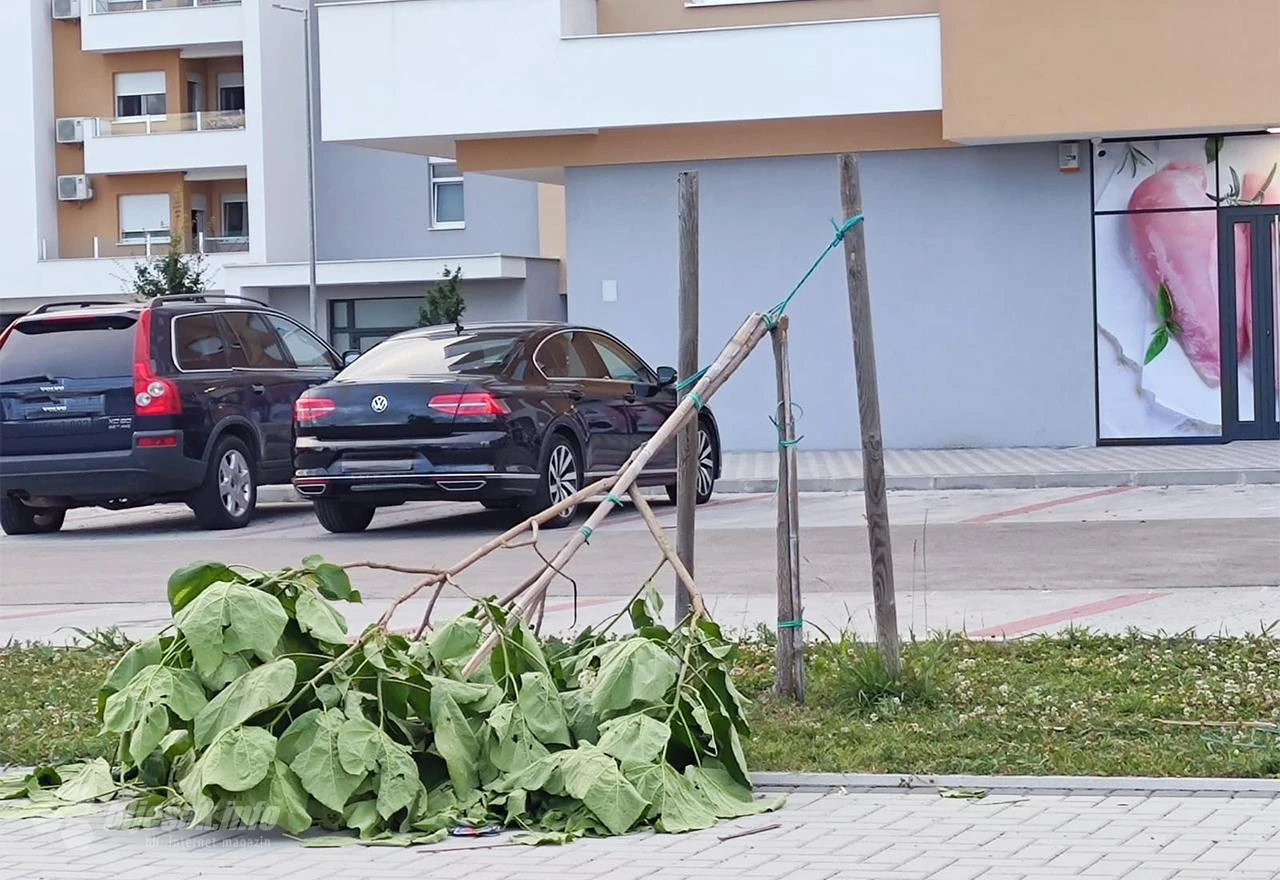 Hrabri čapljinski ''vikend ratnici''