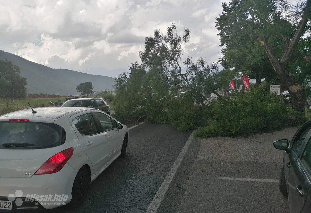 Mostar - M17: Na vozilo pala grana