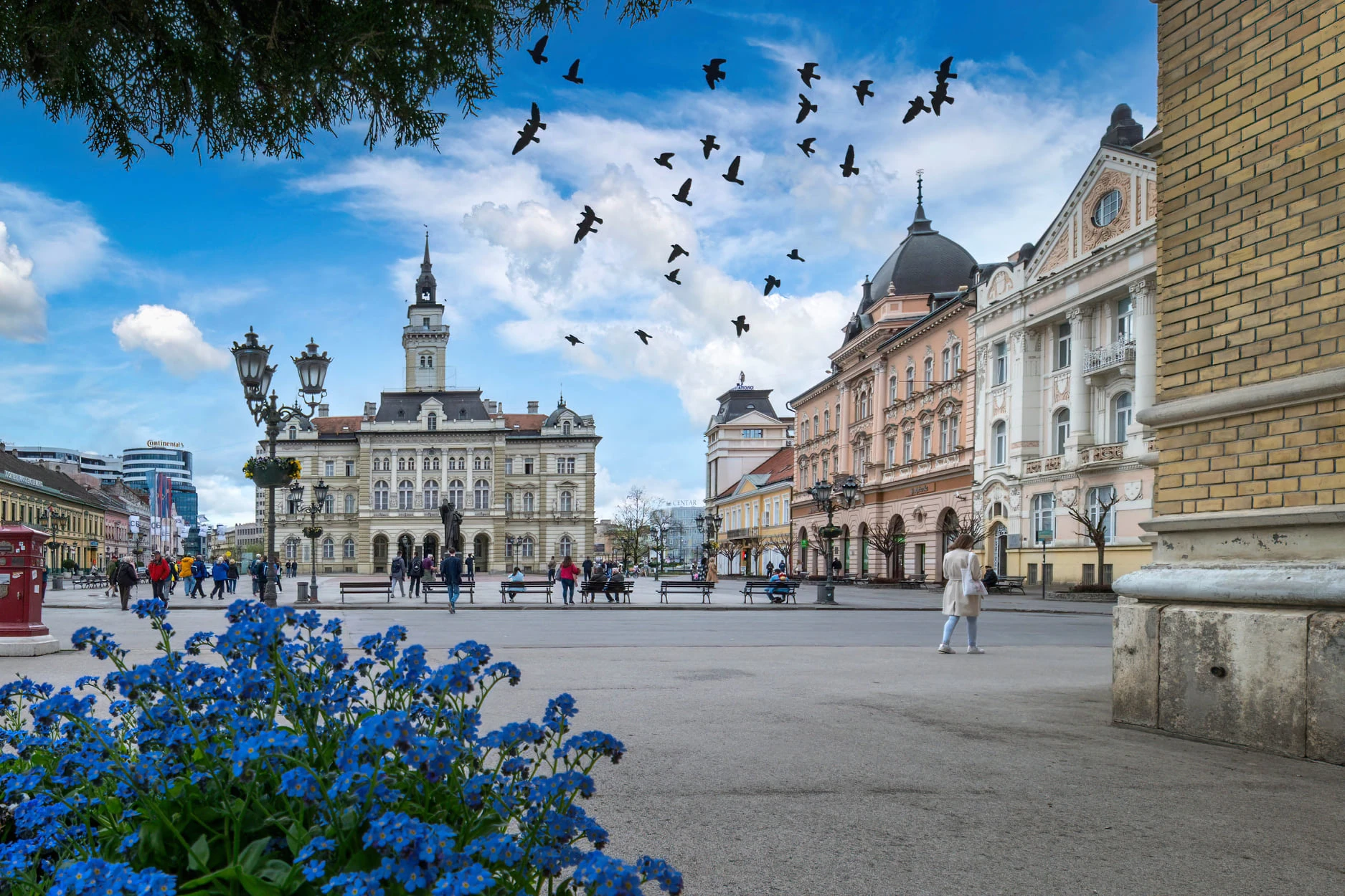 Raznolikost kao najveće bogatstvo