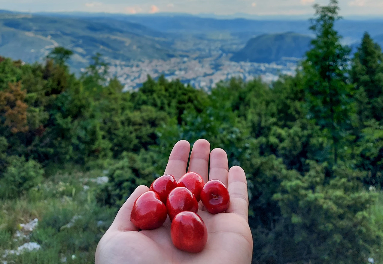 Planinari pozivaju: Svakog četvrtak idemo na izlet, svi ste dobrodošli!