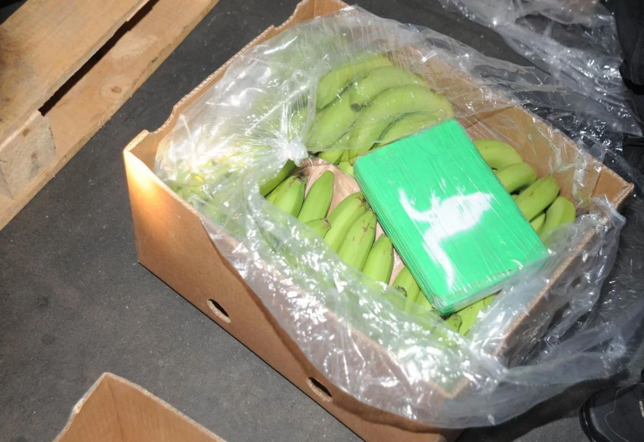 SIPA potvrdila: U Širokom među bananama pronađeno nevjerojatnih 124 kilograma kokaina