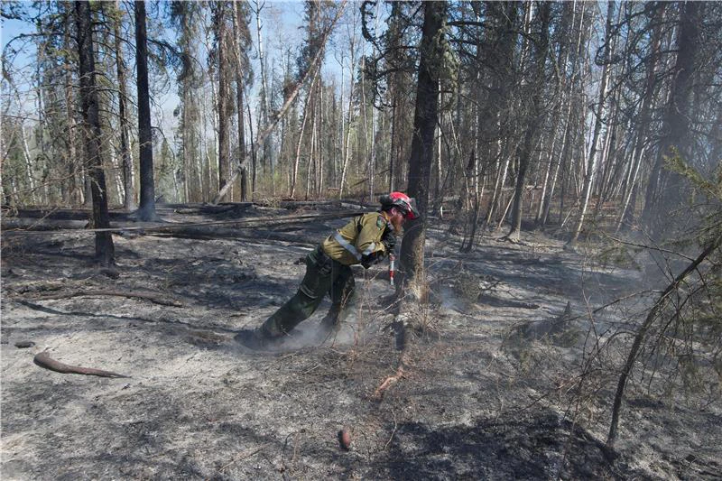 Kanada: Šumski požari ne jenjaju, Alberta i dalje gori