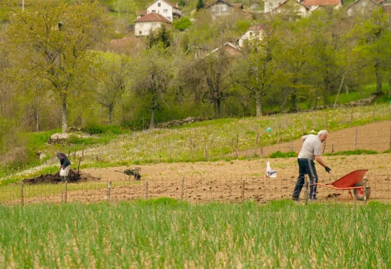 Šaćir i Asim posljednja su generacija koja obrađuje zemlju u Goranima kod Konjica