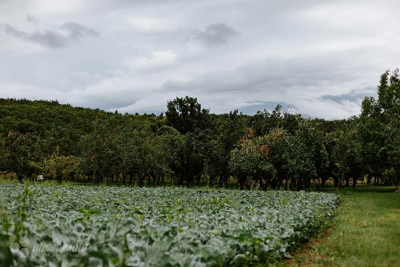 Federacija: Ulaže se u poljoprivredu i ruralni razvoj
