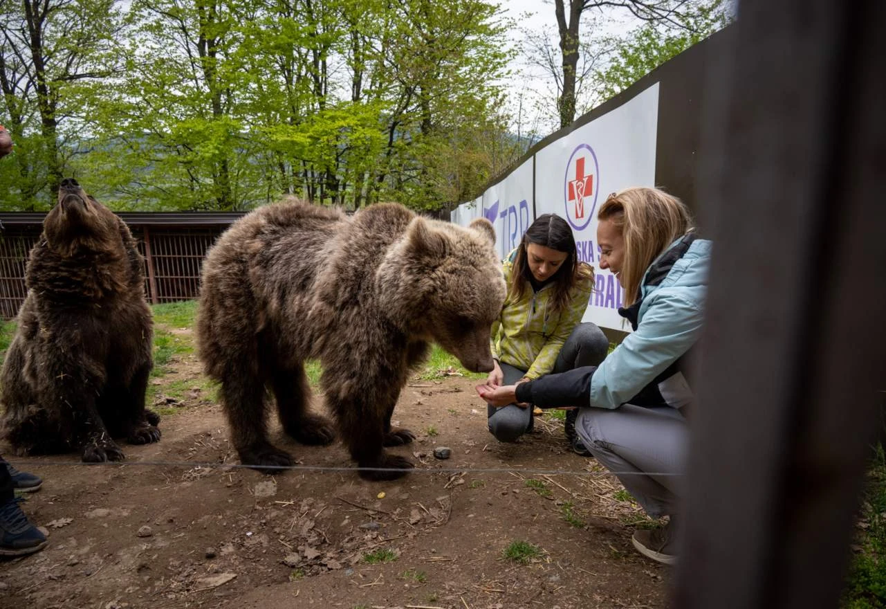 Prirodna oaza: Mjesto na kojem možete hraniti jelene i medvjedice te šetati s vukom