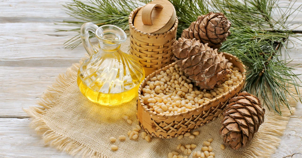 Pinjole - rijetko ih konzumiramo, a mogu spriječiti rak i srčane bolesti!