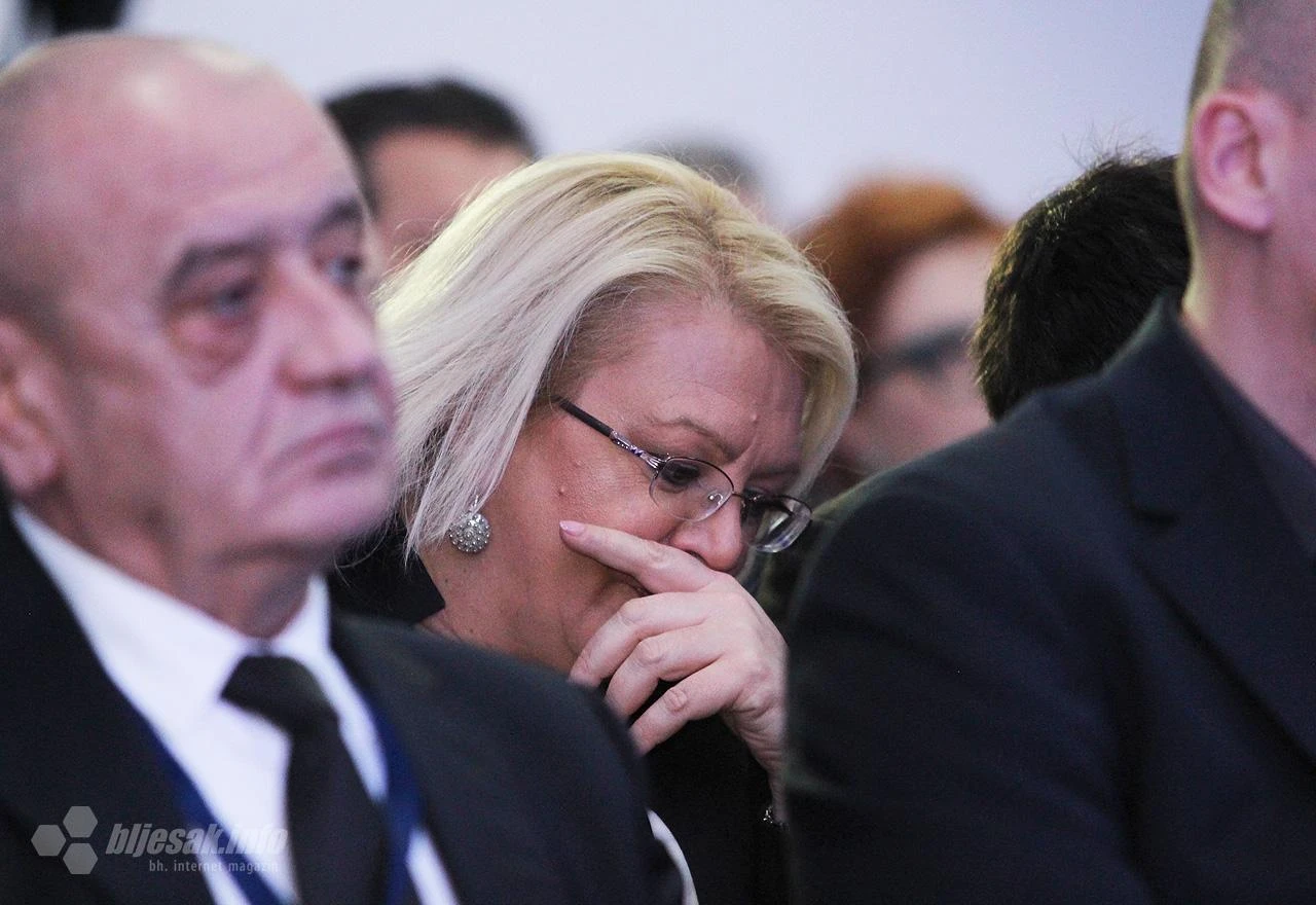 Bradara poslala Vladu Zastupničkom domu
