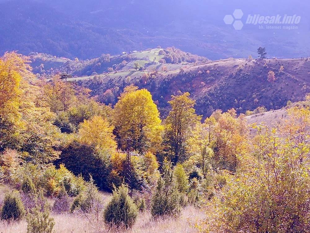 Zlatibor: Izuj brige, uspori i uživaj!