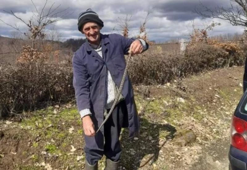 Boro uhvatio poskoka