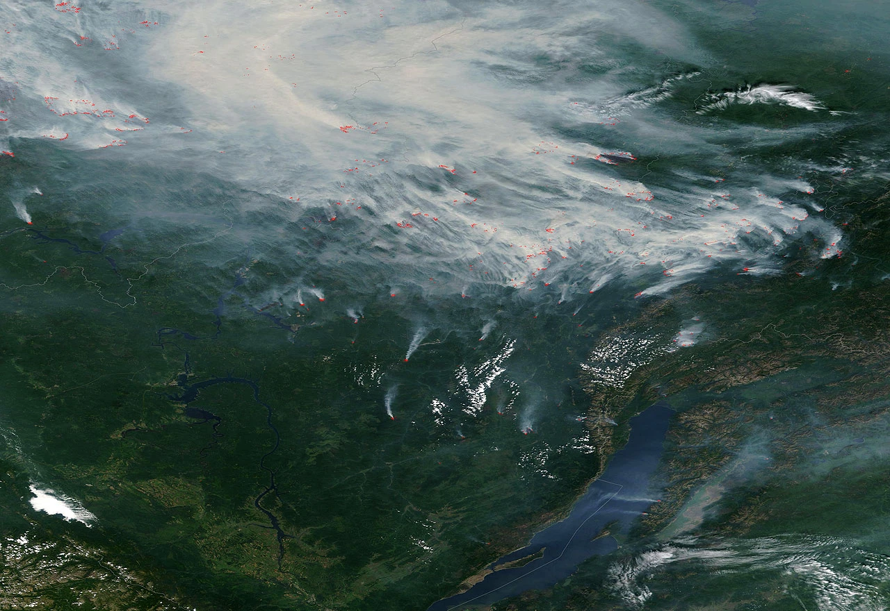 Četinarske šume su tempirana bomba zagađenja koje zagrijava planetu