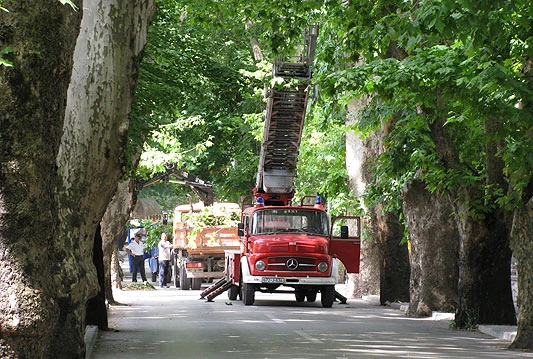 VIDEO: Može li Mostar ponovo postati "zeleni" grad?