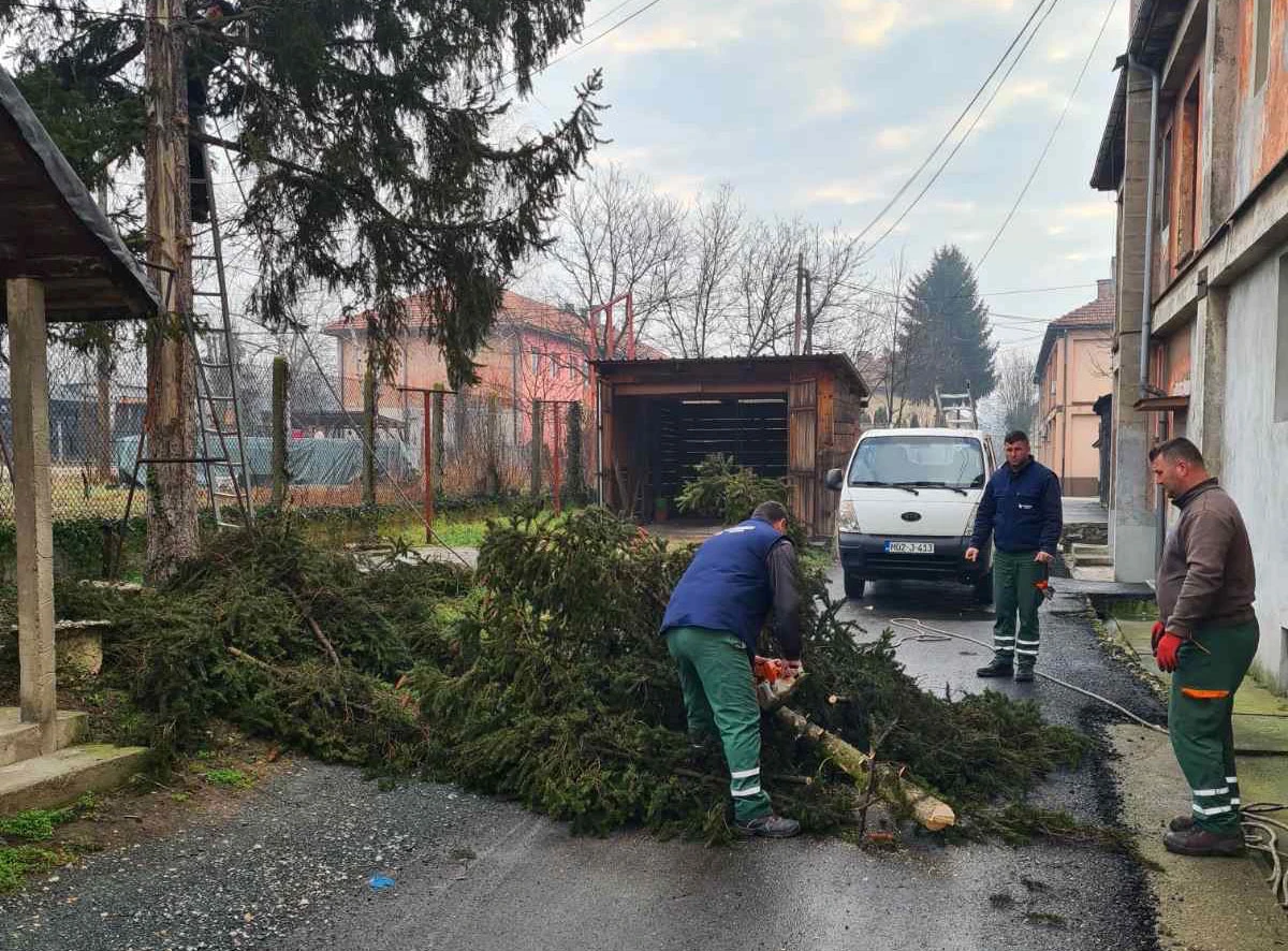 Pripremni radovi za proljetnu sezonu: Orezivanje stabala, uređenje parkovskih površina, održavanje higijene grada