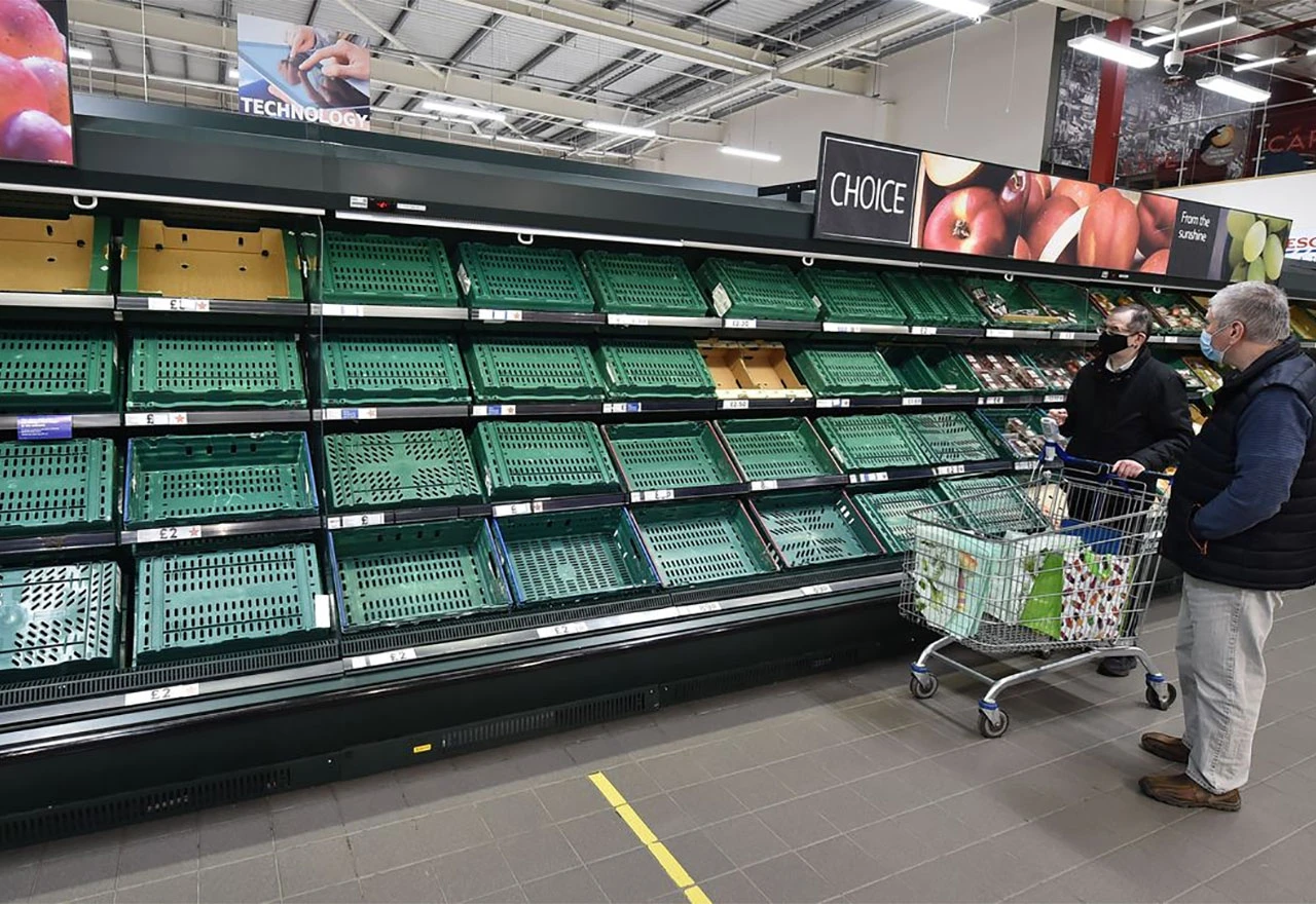 Nestašica rajčice, krastavca, zelene salate, paprike, brokule, karfiola i malina