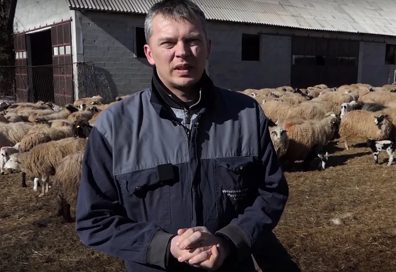 VIDEO | Bivši načelnik Kupresa postao farmer - proizvodit će najbolji sir u BiH