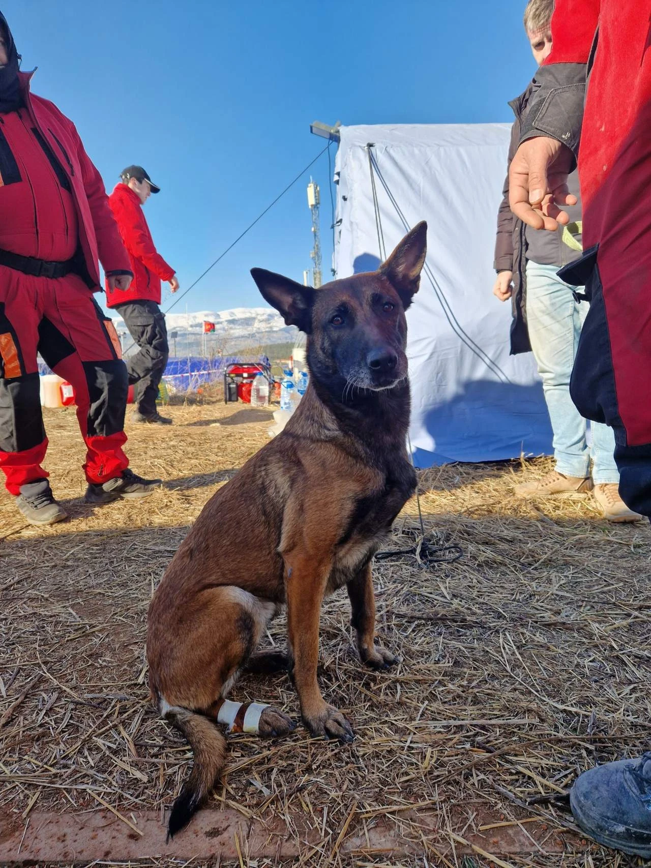 Ozlijeđena Tora danas neće pretraživati