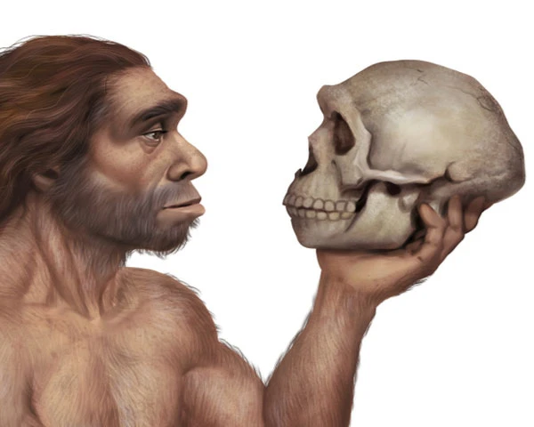 Može li evolucija napraviti ‘korak unazad’?