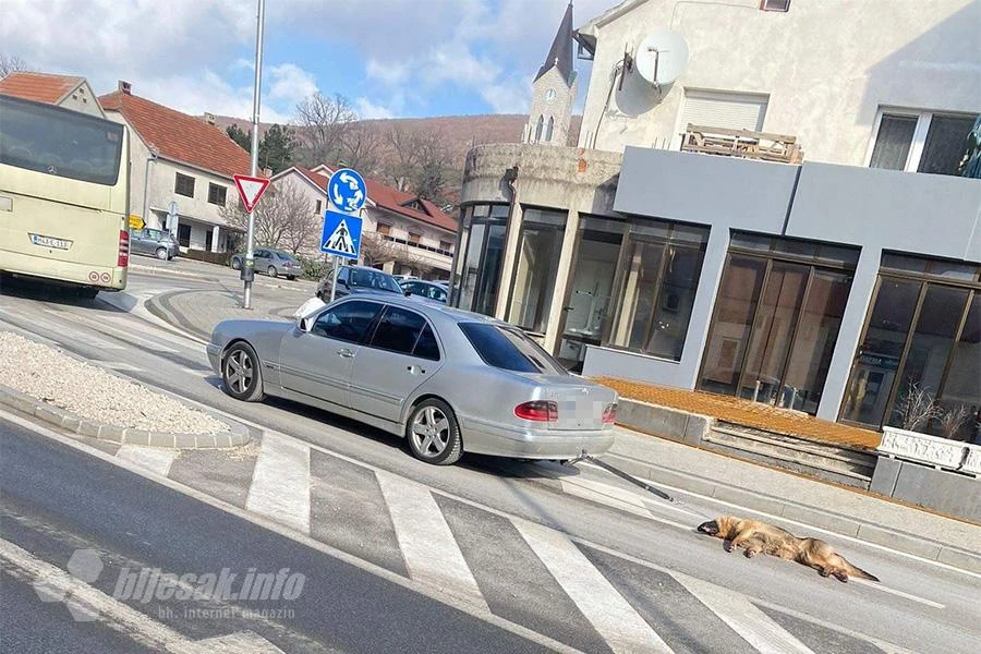 Čudan prizor u Posušju: Pas svezan za automobil