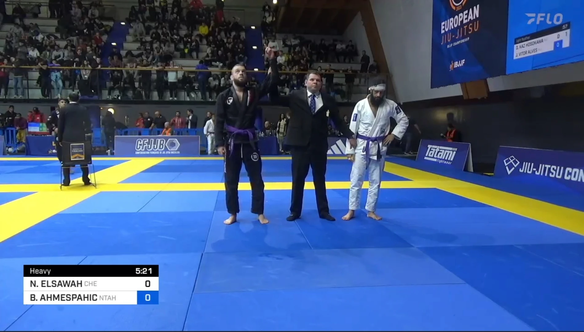Zapažen nastup bh. predstavnika na Europskom BJJ prvenstvu u Parizu