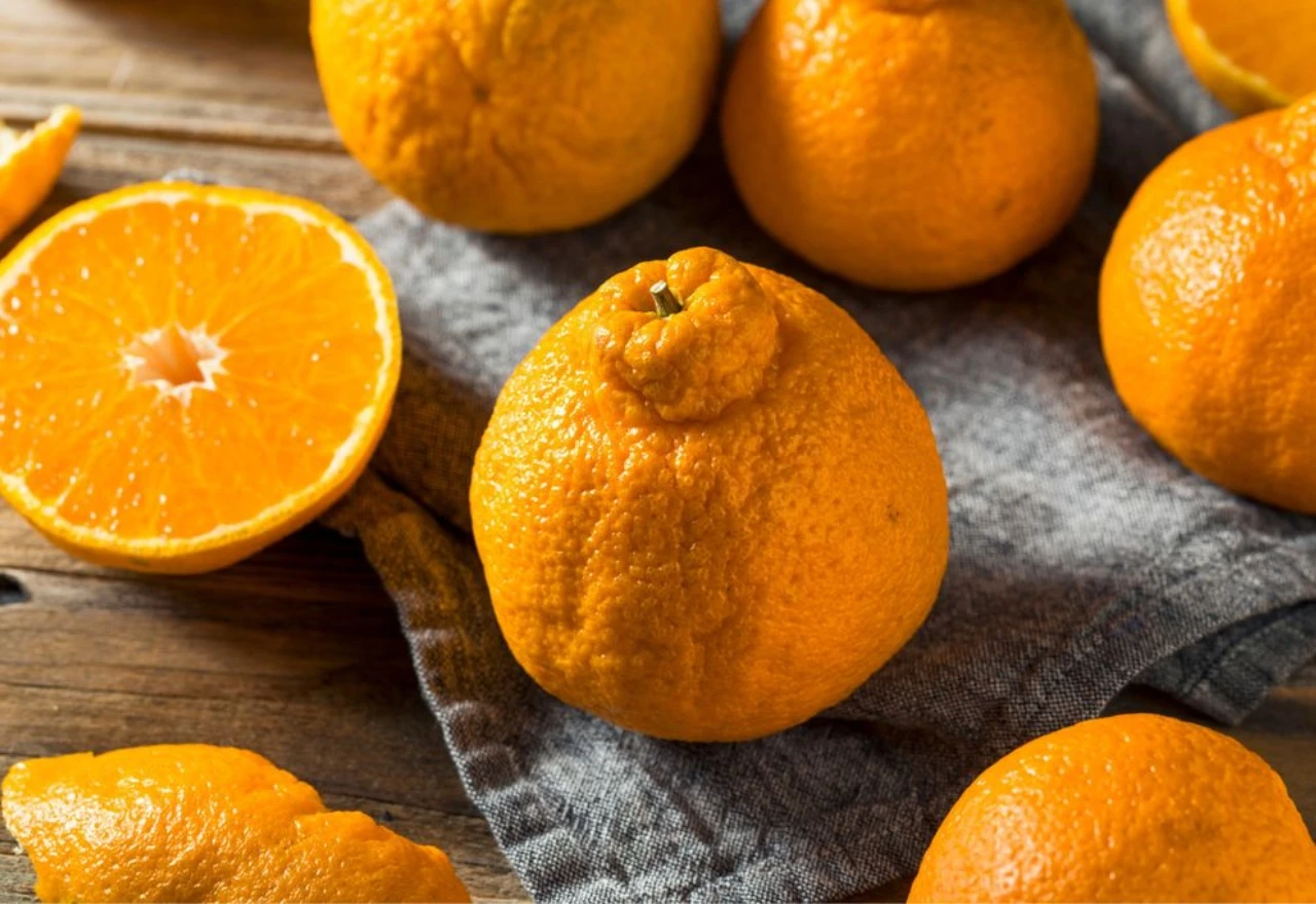Je li ovo najsavršeniji citrus na svijetu?