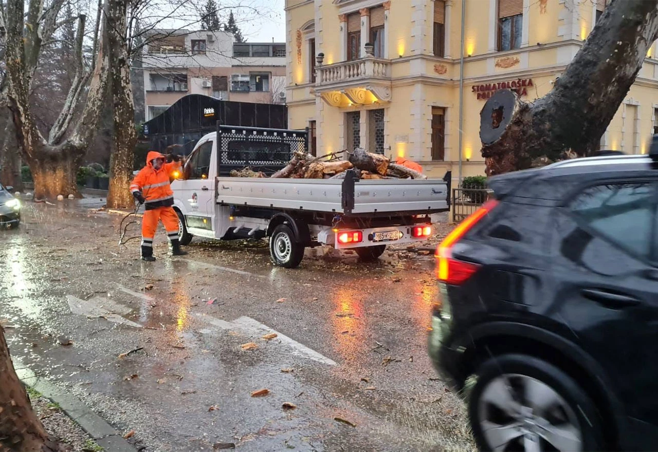 Intervencija JP Parkovi: "S novim voznim parkom i obučenim radnicima zadatak smo odradili u rekordnom roku"