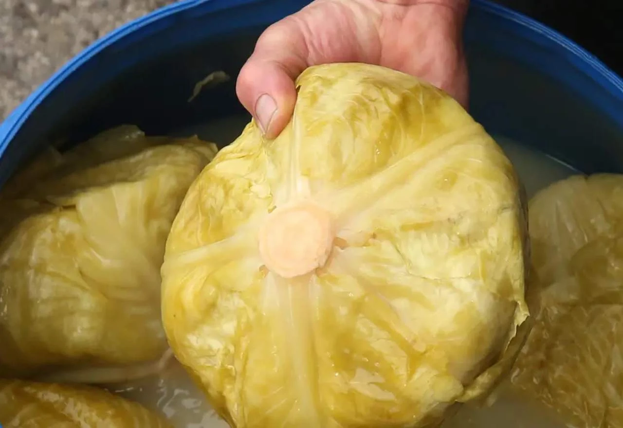 5 razloga zbog kojih biste trebali popiti čašu rasola