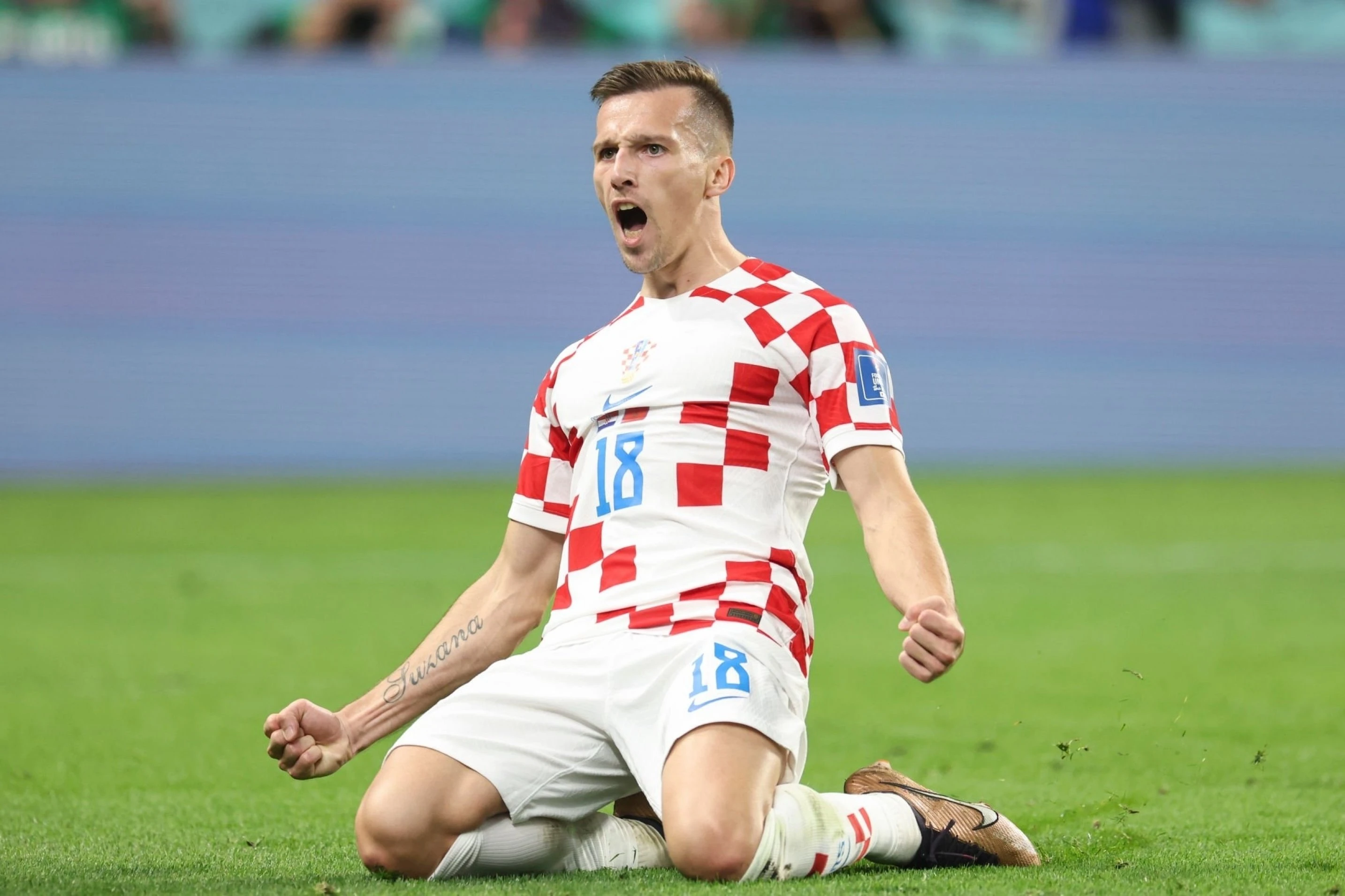 U Southampton stiže četvrti Hrvat u povijesti kluba