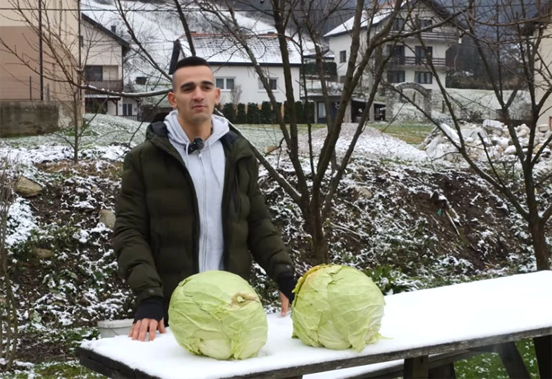 Uzgojio najveću glavicu kupusa u BiH