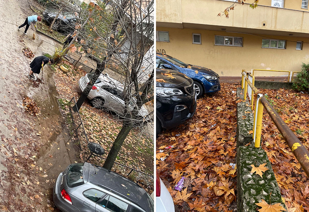 Malobrojni stanari čistili lišće ispred zgrade; ostali smatraju da to nije njihov posao