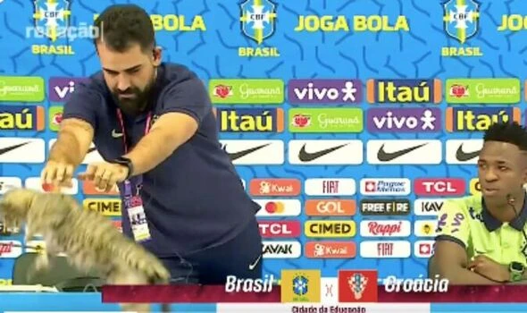 Vinicius o Modriću, plesu, a onda je došla mačka...