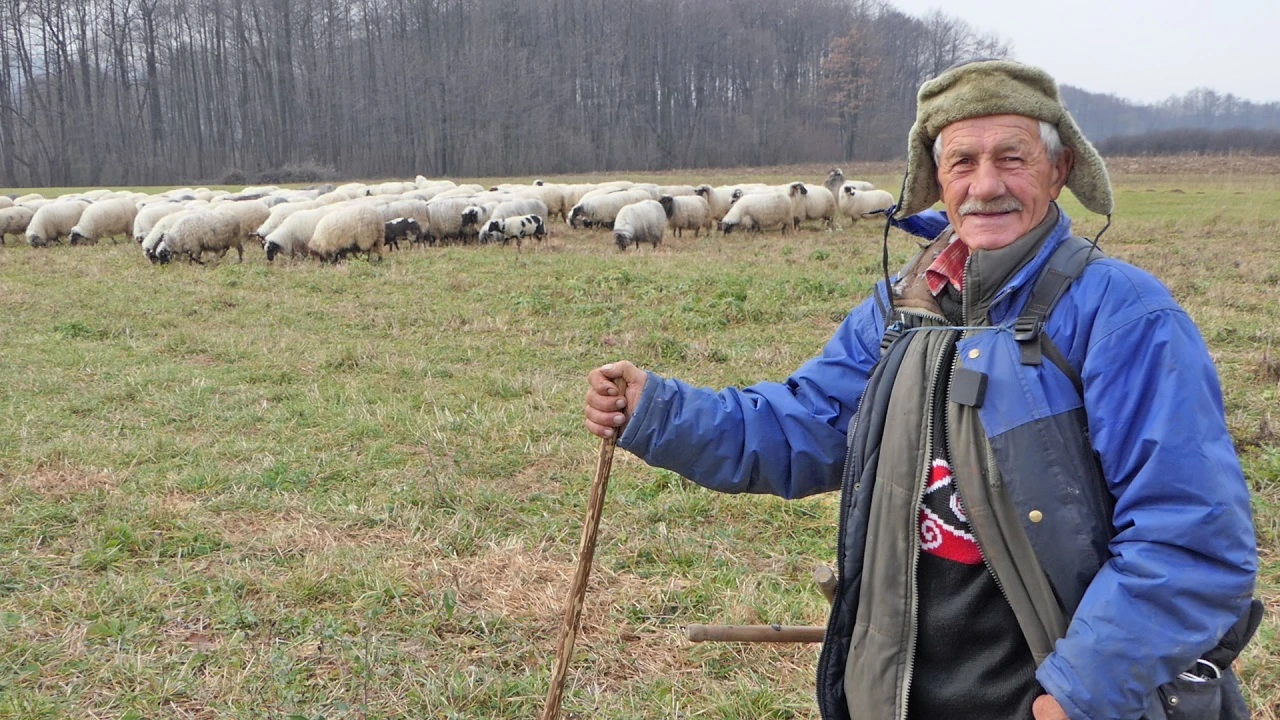 Sad kad bi mi dao 5000 maraka za onu jednu, ja je ne bi dao
