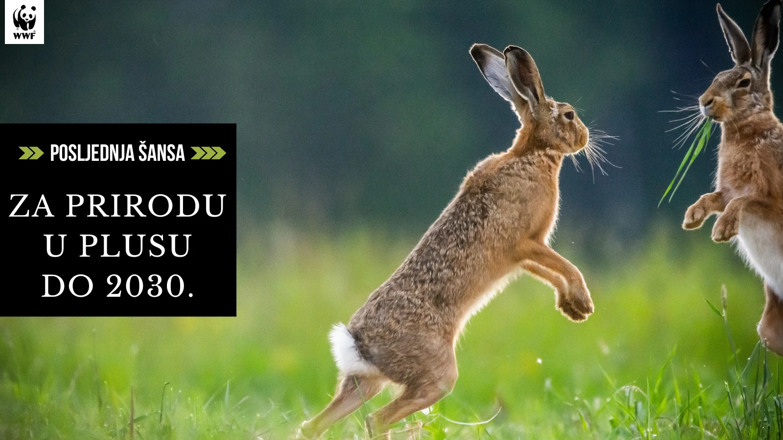 WWF: Budućnost prirode je pod ozbiljnim upitnikom - prilika za osigurati ju još uvijek postoji 