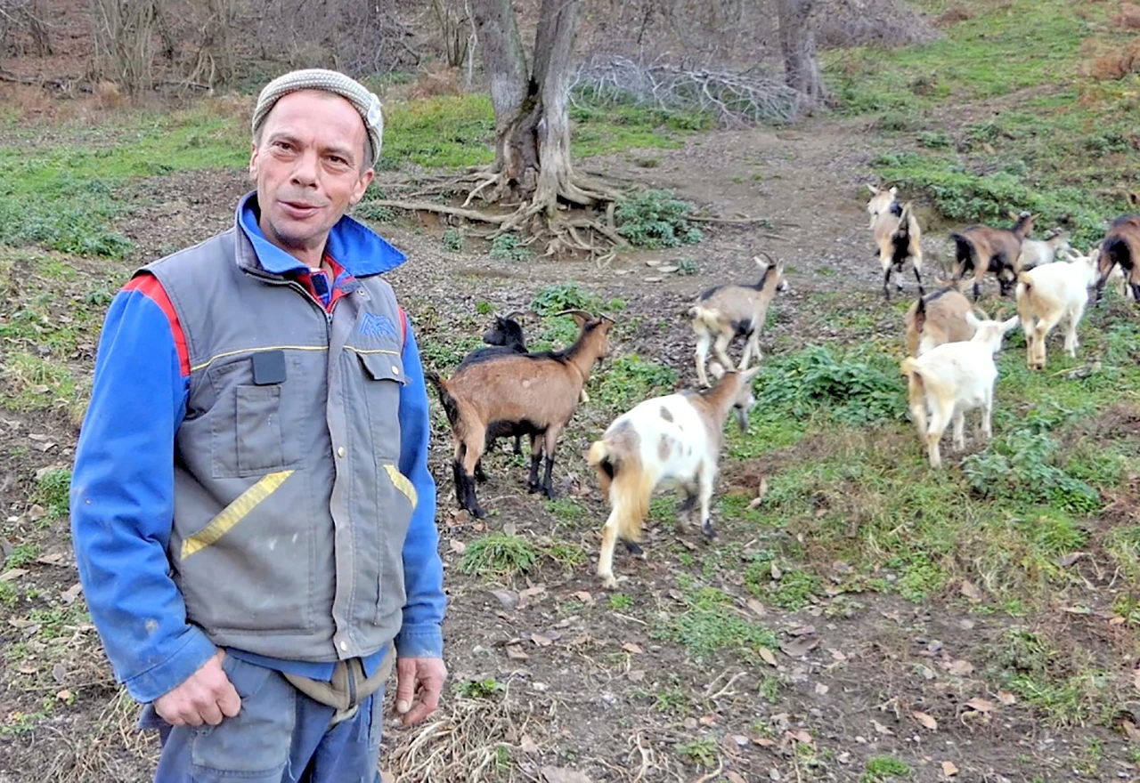''Nisam imao eksera kad sam se vratio, sad imam sve''