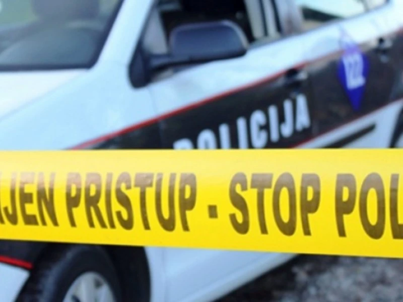 Pješak podlegao ozljedama nakon prometne nesreće