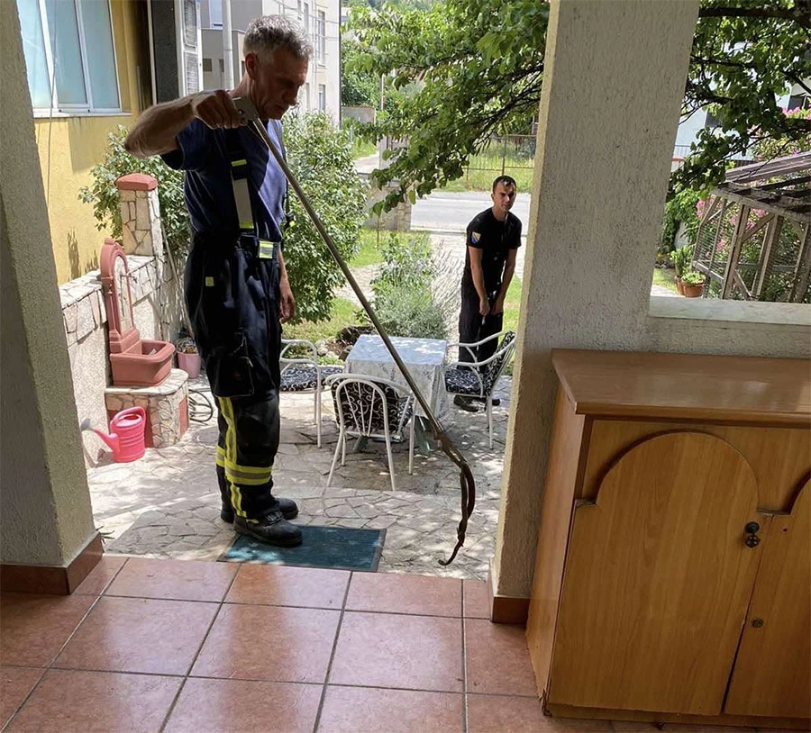 Mostarski vatrogasci sami nabavili alat za lov na zmije