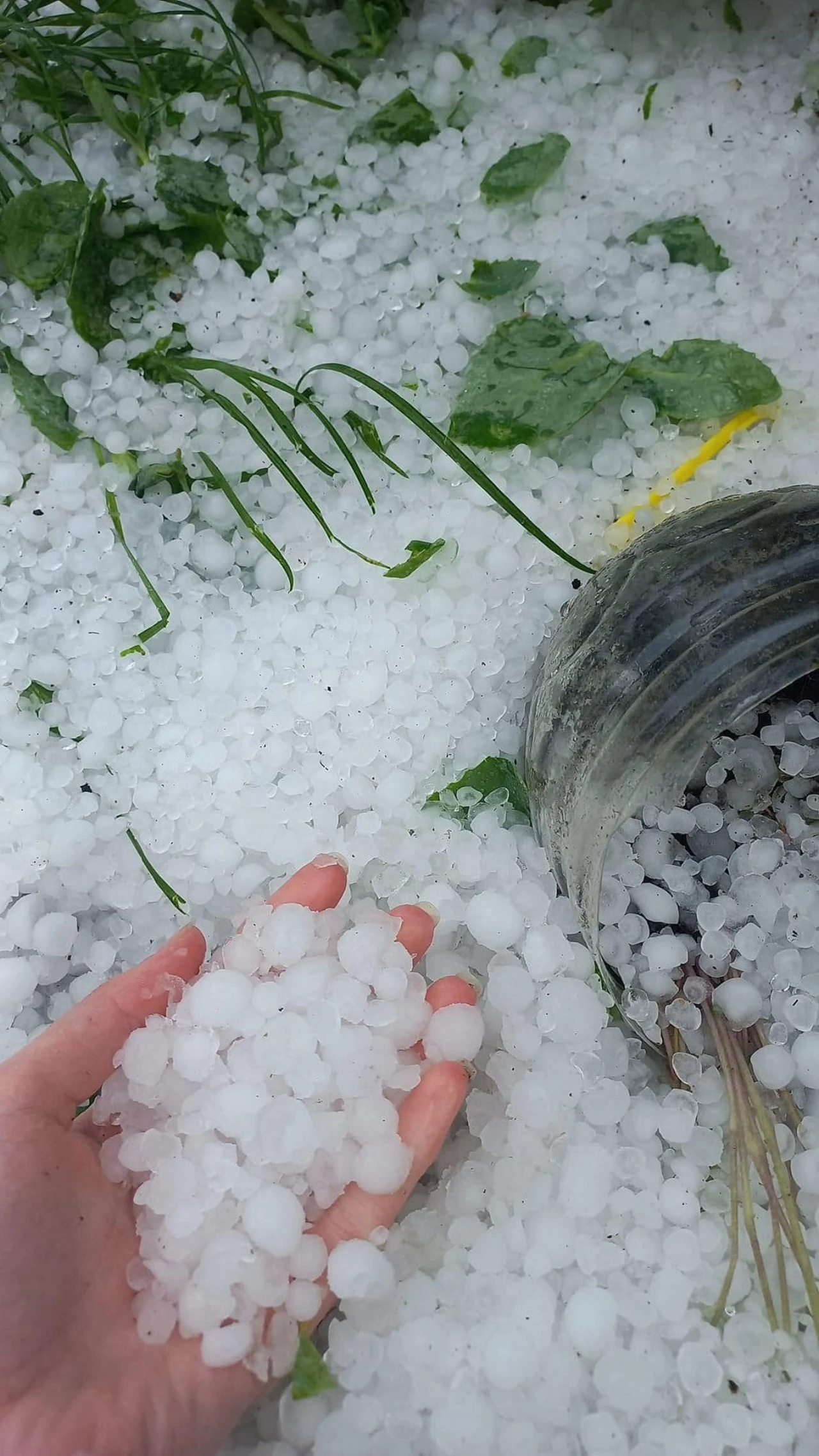 FOTO / VIDEO | Tuča 'zabijelila' Bugojno