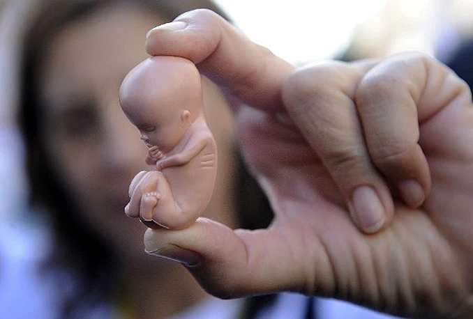 Legalizirat će se abortus u prvih 12 tjedana trudnoće